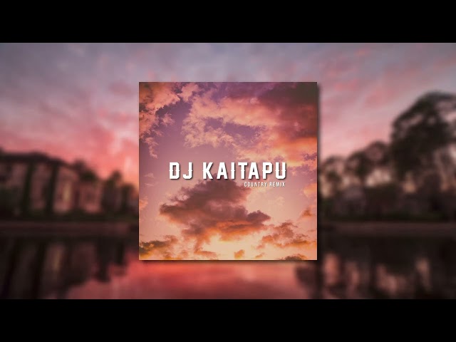 DJ Kaitapu - Seluruh Negeri (Remix) class=