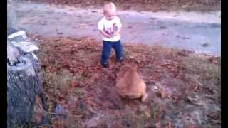 VIDEO0060 1