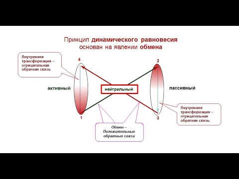 Динамическое равновесие