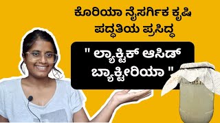 ಕೊರಿಯಾ ನೈಸರ್ಗಿಕ ಕೃಷಿ ಪದ್ಧತಿಯ ಪ್ರಸಿದ್ಧ 'ಲ್ಯಾಕ್ಟಿಕ್ ಆಸಿಡ್ ಬ್ಯಾಕ್ಟೀರಿಯಾ'||Lactic acid bacteria kannada