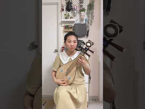 在希望的田野上｜黃保華老師｜民族管弦樂學會考級曲目｜柳琴四級｜Liuqin Solo｜Grade 4