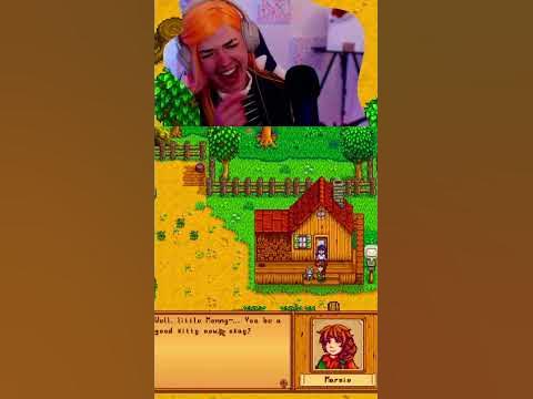When Chat chooses questionable pet names - Stardew Valley 