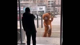 TikTok funny video #funnytiktok #tiktokindia #comedy #brownbear