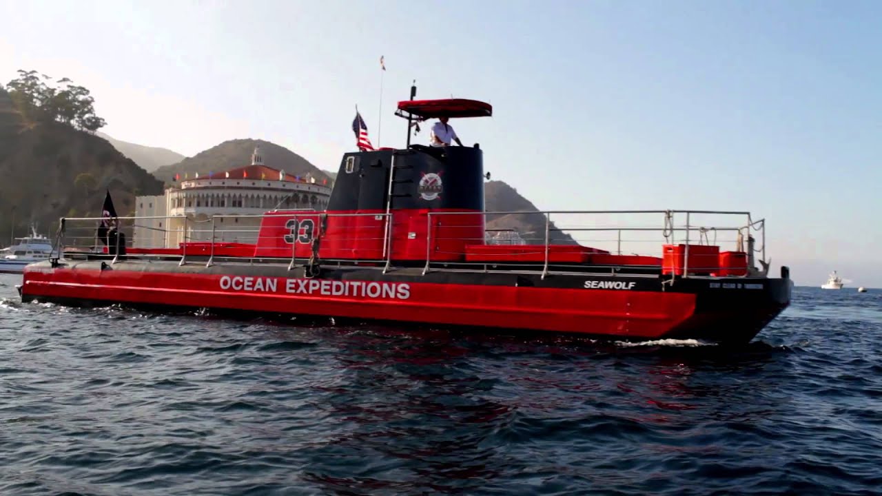 catalina island undersea sub expedition tours