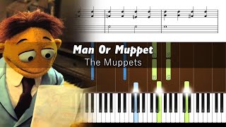 The Muppets - Man or Muppet - Accurate Piano Tutorial with Sheet Music screenshot 5