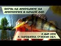 ОКУНЬ НА МИКРОДЖИГ НА МИКРОРЕЧКЕ