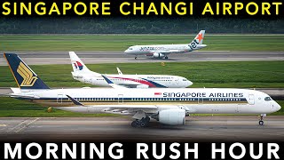 SINGAPORE CHANGI AIRPORT  Plane Spotting | Landing & Take off  Morning RUSH HOUR