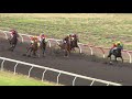 View race 7 video for 2021-03-20