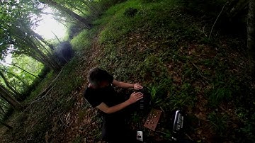 roli axoloti in the woods #3