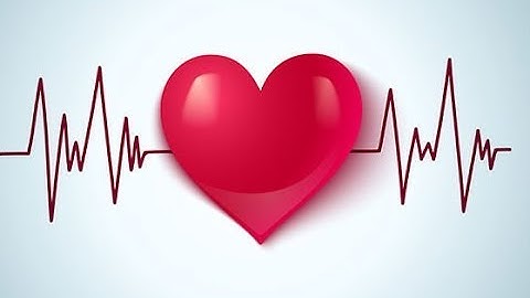 Creation Kit Startup Crash Fix