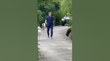Chairman Imran Khan at Bani Gala