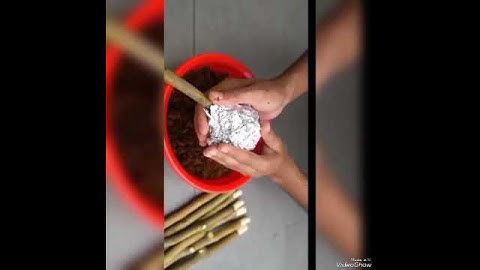 #great method propagation lemon tress cutting using aluminum foil paper plant #trending my video ❤️