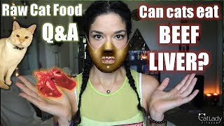 Raw Cat Food Q&A: Can you use BEEF (or lamb, veal, duck) liver instead of Chicken Liver? 🤔 screenshot 5