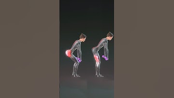 Glutes vs. Hamstrings in Deadlifts: Key Differences