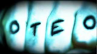 Download Summerlea - OTEO Cover of Fred Eaglesmith MP3 song and Music Video