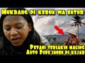 DEDE INOEN DI KEJAR PETANI SAAT BIKIN KONTEN MUKBANG DI KEBUN WA ENTUR | serial