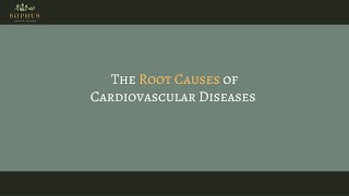 What Are The Root Causes of Heart Diseases?