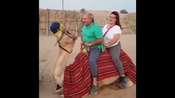 Tiktok Funny Video | Titanic song | Riding Camel Funny video