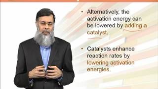 BIO202_Topic199