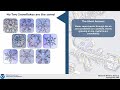 Weather Unlocked: How Snowflakes Form