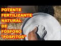 POTENTE FERTILIZANTE, ✅FOSFITOS✅ Huerta y Cultivos,  PROCESO COMPLETO, mejora tus cultivos