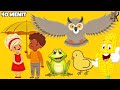 Burung Hantu | Anak Gembala | Menanam Jagung dan lainnya | Kompilasi Lagu Anak 40 Menit | Kancaku