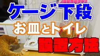 ペットゲージの下段にトイレと餌の皿を起きたいけどどうしたら良い？質問に回答します 【アイリスオーヤマ(PEC-903)】