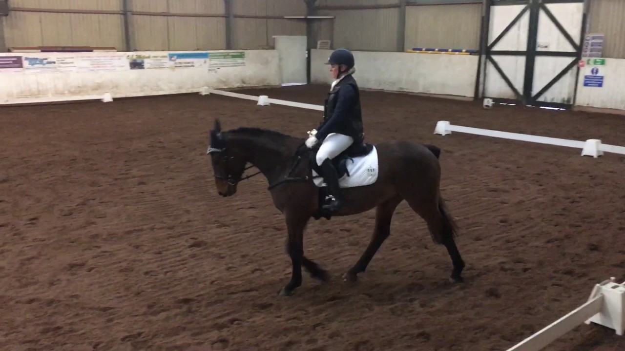 Otto Prelim 14 Dressage Test YouTube Otto Prelim 14 Dressage Test YouTube