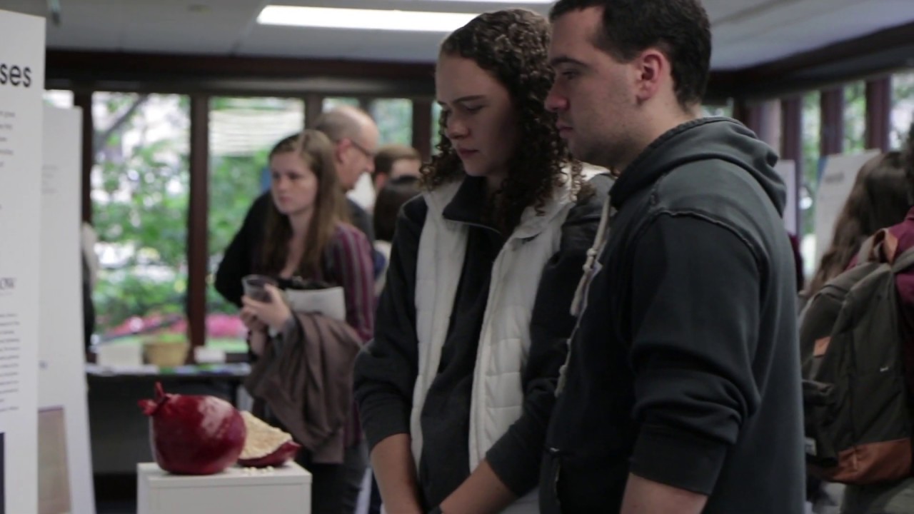 Tree Of Life Memorial Exhibit - YouTube