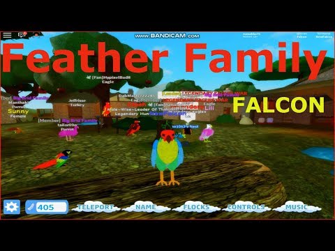 The Weirdest Bird Family In Roblox Become Birds Roleplay - feather family bird of paradise update roblox youtube