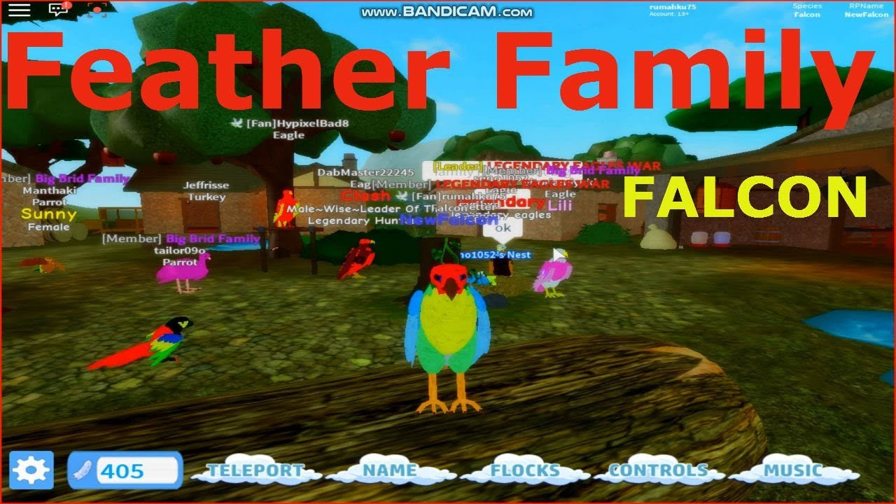 Feather Family Falcon Roblox Explore The World Of Bird Youtube