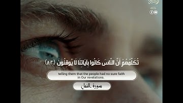 تلاوة مؤثرة من سورة النمل للقارئ أبو بكر الشبراوي