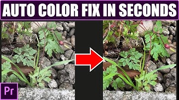 How to Auto Color Correct in Premiere Pro | Use Lumetri Color Auto for Perfect Lighting & Tone