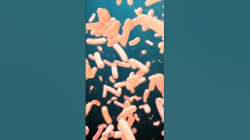 The Shocking Link: Depression, IBS & Your Gut-Brain Axis