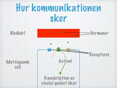 Video: Vad är Dextros Och Hur Används Det Medicinskt?