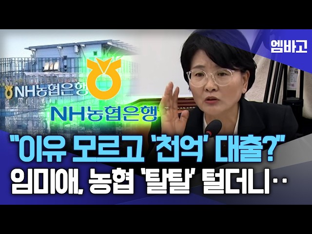 "농협, 이유도 모르고 1,100억 대출을?" 임미애, 농협 탈탈 털더니 ... | 국회 농해수위 [농협 국정감사] (261016)