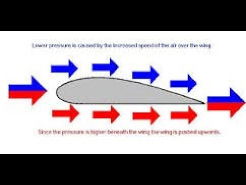 bernoulli principle bernoulli principle