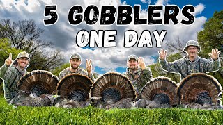 Best Day Of Turkey Hunting Ever??? - 5 Gobblers In 12 Hours