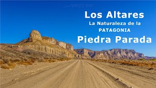 From Los Altares to Piedra Parada along Route 12 in Chubut. Nature of Patagonia 2023