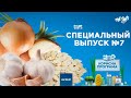 Топ-3 продуктов против паразитов | «ПОЛЕЗНАЯ ПРОГРАММА». Специальный выпуск — 14.05.2020