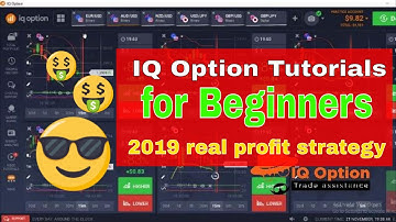 IQ option tutorials for beginners 2019 real profit strategy