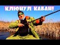 Карась клюет как дурной на боковой кивок в коряжнике! Удочка с боковым кивком рулит!