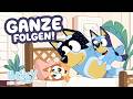 Bandit übernachtet In Blueys Spielhotel Ganze Folgen Bluey Deutsch Offizieller Kanal 