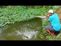 Incredible Fishing|Big Baam Fishing|Indian Eel Fishing|Baam Fishing 🎣