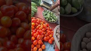 🐟🌶️গনি মাকের্ট,সকালেবেলার,তাজা দেশি মাছ  হাট,বাজার,দঃগাও,কাপাসিয়া,গাজিপুর,দরদাম,আপডেট।