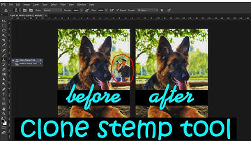Remove Anything in Photoshop with the Clone Stamp Tool