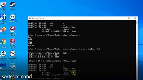 Windows Sort Command