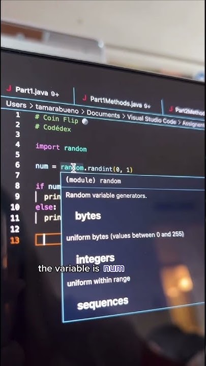 How to Program a Coin Flip in Python 🪙 #python #programming - YouTube