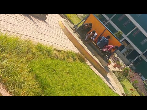 Arsii University Daawadhaa 