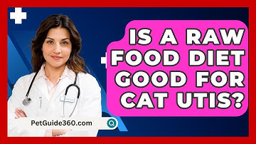 Is A Raw Food Diet Good For Cat UTIs? - PetGuide360.com